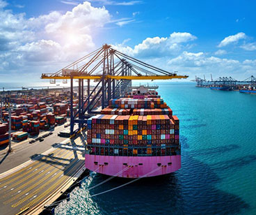 Sea Freight